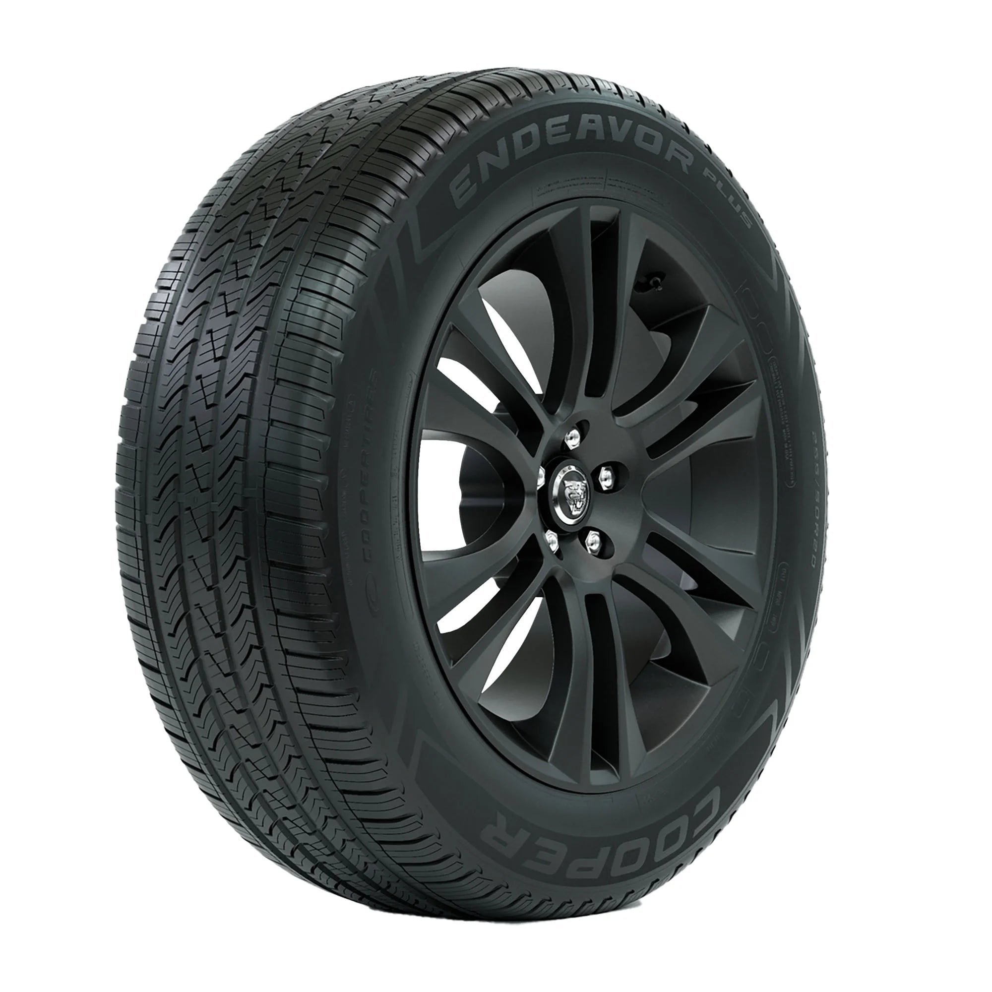 Endeavor plus All Season 255/65R18 111H Passenger Tire